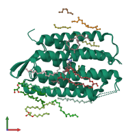 PDB entry 1p8u coloured by chain, ensemble of 2 models, front view.