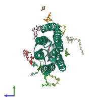 PDB entry 1p8u coloured by chain, ensemble of 2 models, side view.