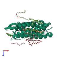 PDB entry 1p8u coloured by chain, ensemble of 2 models, top view.