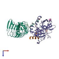 PDB entry 1p8v coloured by chain, top view.