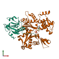 Hetero dimeric assembly 1 of PDB entry 1p8z coloured by chemically distinct molecules, front view.