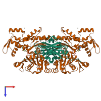 Hetero tetrameric assembly 2 of PDB entry 1p8z coloured by chemically distinct molecules, top view.