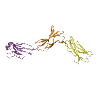 The deposited structure of PDB entry 1p9m contains 3 copies of CATH domain 2.60.40.10 (Immunoglobulin-like) in Interleukin-6 receptor subunit beta. Showing 3 copies in chain A.