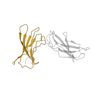 The deposited structure of PDB entry 1p9m contains 1 copy of Pfam domain PF09240 (Interleukin-6 receptor alpha chain, binding) in Soluble interleukin-6 receptor subunit alpha. Showing 1 copy in chain C.