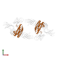 Interleukin-6 in PDB entry 1p9m, assembly 1, front view.