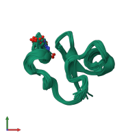 PDB entry 1p9z coloured by chain, ensemble of 21 models, front view.