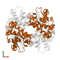 Hemoglobin subunit beta in PDB entry 1pbx, assembly 1, front view.