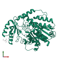 Carboxypeptidase A1 in PDB entry 1pca, assembly 1, front view.