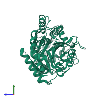 Carboxypeptidase A1 in PDB entry 1pca, assembly 1, side view.