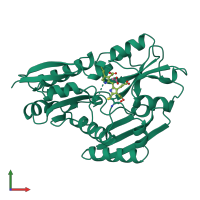 PDB entry 1pda coloured by chain, front view.