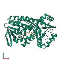 PDB entry 1pdh coloured by chain, front view.