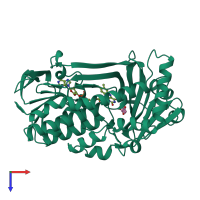 PDB entry 1pdh coloured by chain, top view.