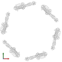 Homo 18-meric assembly 1 of PDB entry 1pdi coloured by chemically distinct molecules, front view.