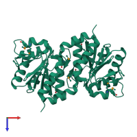 Homo dimeric assembly 1 of PDB entry 1pdv coloured by chemically distinct molecules, top view.