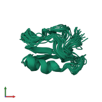 PDB entry 1pe4 coloured by chain, ensemble of 19 models, front view.