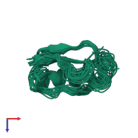 PDB entry 1pe4 coloured by chain, ensemble of 19 models, top view.