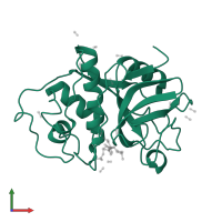 Papain in PDB entry 1pe6, assembly 1, front view.