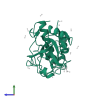 Papain in PDB entry 1pe6, assembly 1, side view.