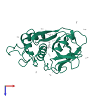 Papain in PDB entry 1pe6, assembly 1, top view.