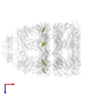 ADENOSINE-5'-DIPHOSPHATE in PDB entry 1pf9, assembly 1, top view.