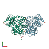 PDB entry 1pff coloured by chain, front view.