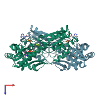 PDB entry 1pfk coloured by chain, top view.