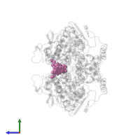 PROTOPORPHYRIN IX CONTAINING FE in PDB entry 1pgg, assembly 1, side view.