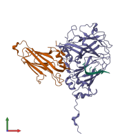 PDB entry 1pgl coloured by chain, front view.