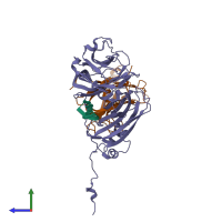 PDB entry 1pgl coloured by chain, side view.