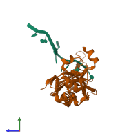 PDB entry 1pgz coloured by chain, side view.