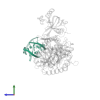 5'-D(*GP*GP*GP*GP*TP*TP*TP*TP*GP*GP*GP*GP*T)-3' in PDB entry 1ph2, assembly 1, side view.