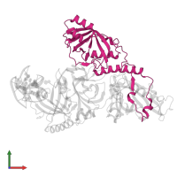 Telomere-binding protein subunit beta in PDB entry 1ph2, assembly 1, front view.