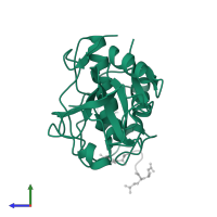 Papain in PDB entry 1pip, assembly 1, side view.