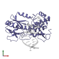 Formamidopyrimidine-DNA glycosylase in PDB entry 1pjj, assembly 1, front view.