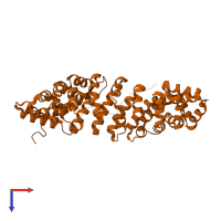 Importin subunit alpha-1 in PDB entry 1pjm, assembly 1, top view.