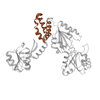 The deposited structure of PDB entry 1pjq contains 2 copies of Pfam domain PF10414 (Sirohaem synthase dimerisation region) in Siroheme synthase. Showing 1 copy in chain B.