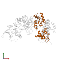 Calmodulin-1 in PDB entry 1pk0, assembly 2, front view.