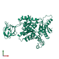 3D model of 1pkm from PDBe