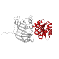 The deposited structure of PDB entry 1pl7 contains 4 copies of CATH domain 3.40.50.720 (Rossmann fold) in Sorbitol dehydrogenase. Showing 1 copy in chain A.