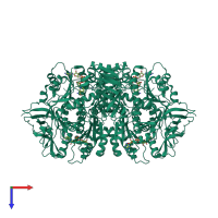 Homo tetrameric assembly 3 of PDB entry 1pl8 coloured by chemically distinct molecules, top view.