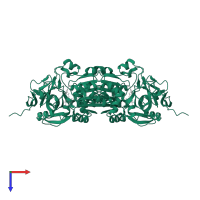 Sorbitol dehydrogenase in PDB entry 1pl8, assembly 2, top view.