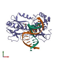 PDB entry 1pm5 coloured by chain, front view.