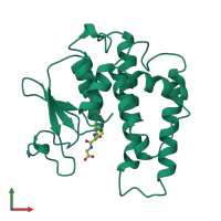 PDB entry 1pmt coloured by chain, front view.