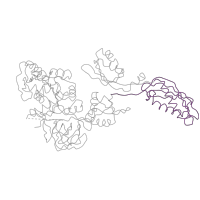 The deposited structure of PDB entry 1pn6 contains 1 copy of Pfam domain PF03764 (Elongation factor G, domain IV) in Elongation factor G. Showing 1 copy in chain A.