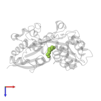 SPERMIDINE in PDB entry 1pot, assembly 1, top view.