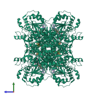 Homo tetrameric assembly 1 of PDB entry 1pow coloured by chemically distinct molecules, side view.