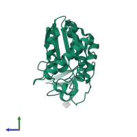 Rhamnogalacturonan acetylesterase in PDB entry 1pp4, assembly 1, side view.