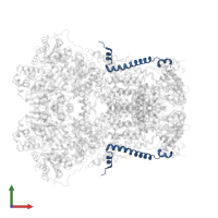 Cytochrome b-c1 complex subunit 9 in PDB entry 1pp9, assembly 1, front view.