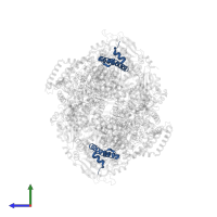 Cytochrome b-c1 complex subunit 9 in PDB entry 1pp9, assembly 1, side view.