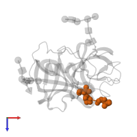 MEO-SUCCINYL-ALA-ALA-PRO-VAL CHLOROMETHYLKETONE in PDB entry 1ppg, assembly 2, top view.